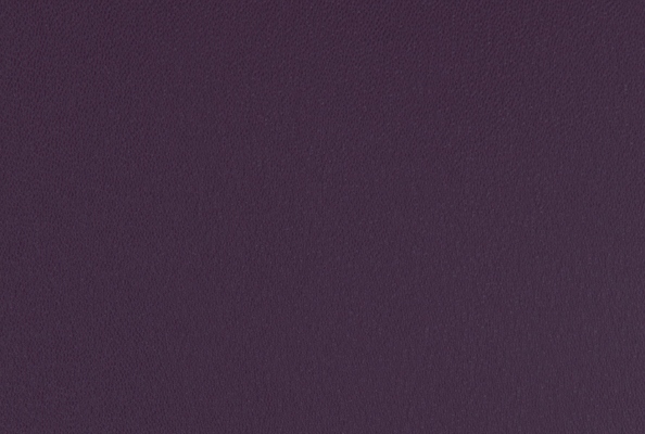 Silk Violet